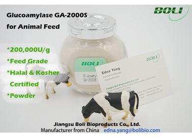 Hohe Tätigkeits-biologische Enzyme 200000 U/g, Tierfutter-Amyloglykosidase-Enzym