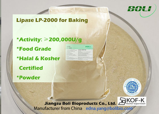 200000u/G pulverisieren hohes leistungsfähiges Enzym der Lipase-Lp-2000 für Bäckerei-Nahrungsmittelgebrauch