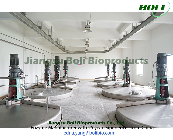 Jiangsu Boli Bioproducts Co., Ltd. Fabrik Produktionslinie