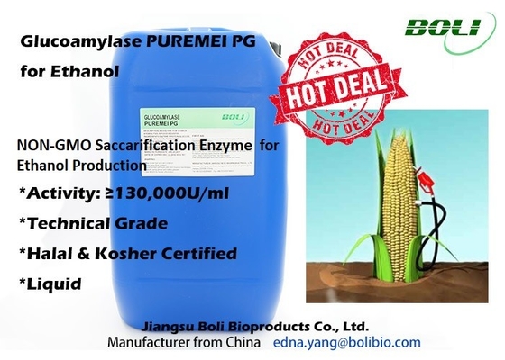 Der Seiten-Glukoamylase-Enzym Puremei nicht GVO Saccarification für die Äthanol-Produktion Halal