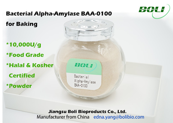 Nicht GMO bakterielle Alpha Amylase BAA-0100 für Bäckerei-Pulver