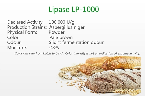 Enzym-Hydrolysepulver der Lipase-LP-1000 backendes