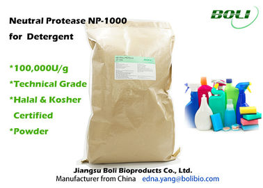 Technische Grad-Pulver-proteolytische Enzym-neutrale Protease NP - 1000 für Reinigungsmittel