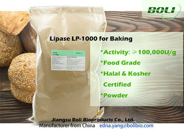 Hellgelbe überlegene Stabilität der Pulver-Bäckerei-/Lipase-Enzym-Feuchtigkeits-8%