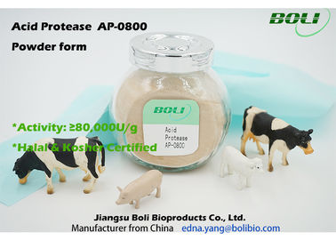 Tätigkeit 80000 U der Boli-Pulver-saure Protease-AP-0800/g-Hydrolyse der Protein-freien Probe verfügbar