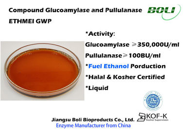 Glukoamylase und Pullulanase gemischte Enzyme für Äthanol ETHMEI technischen Grad GWP