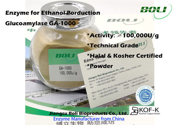 Industrielles Enzym-Pulver der Glukoamylase-GA-1000