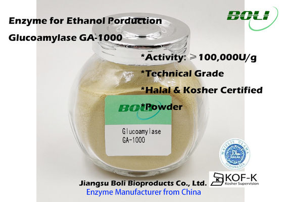 Industrielles Enzym-Pulver der Glukoamylase-GA-1000