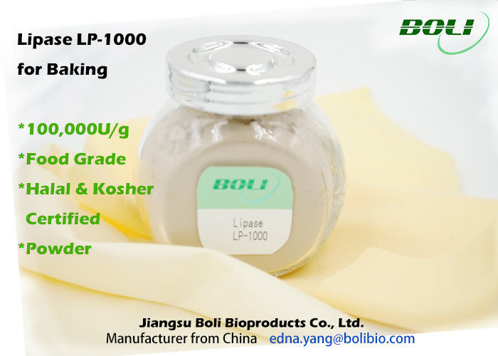 Feuchtigkeit der Nahrungsmittelgrad-Lipase-Backen-Enzym-LP-1000 des Pulver-8% für Bäckerei