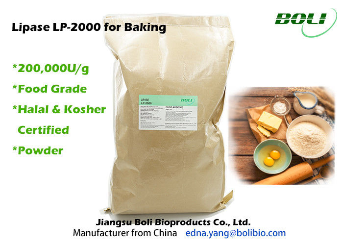 Nahrungsmittelgrad-Lipase-Enzym für das Backen, robuste Tätigkeits-Brot-Enzym-Stall-Tätigkeit