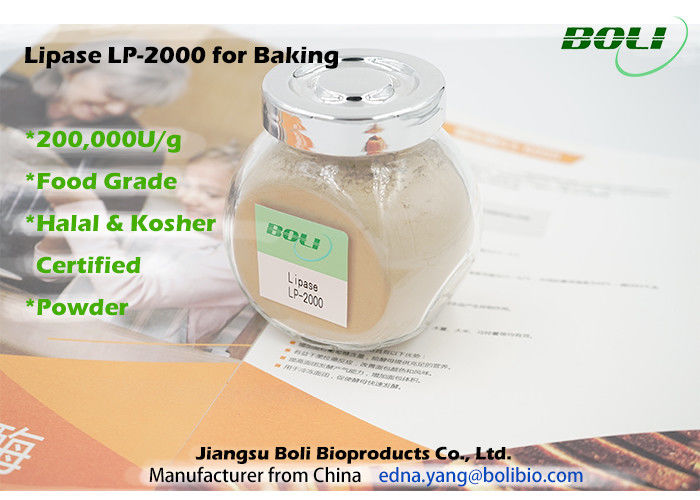 Lipase-feste Pulver-Backen-Enzym-hoch leistungsfähige stabile Tätigkeit 200000 U/g