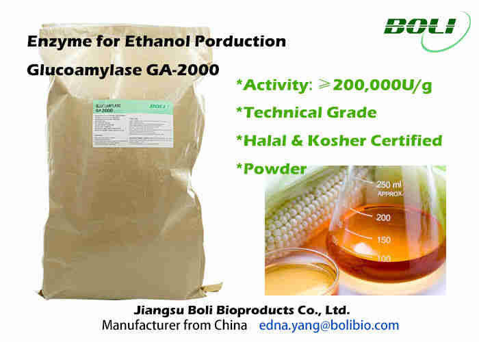 Industrielles Pulver-Glukoamylase-Enzym GA - 2000 schnellere Gärungs-Wirksamkeit für Äthanol